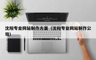 新余沈阳专业网站制作方案（沈阳专业网站制作公司）